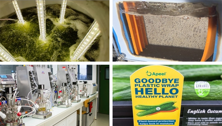 This round-up highlights innovative technical solutions to some of the world's most pressing environmental challenges